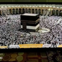 بلازما ال جي • ٥٢ بوصة • ستالايت