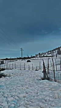 شركة كولدن • جبل حسن بيك • للعوائل