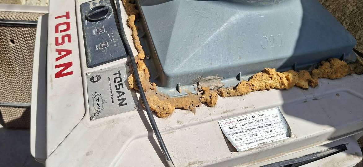 السلام عليكم مبرده نظيفة جدا مشتغلة اقل الموسم
بدون دكت فقط شباك البلاستك مثل ماموضح بالصور
السعر 230
لايوجد توصيل مكاني بغداد حي الجهاد
للحجز خاص


**إذا كنت صاحب هذا الإعلان وتريد حذفه لأي سبب، رجاءا أرسل رسالة إلى الدعم الفني**