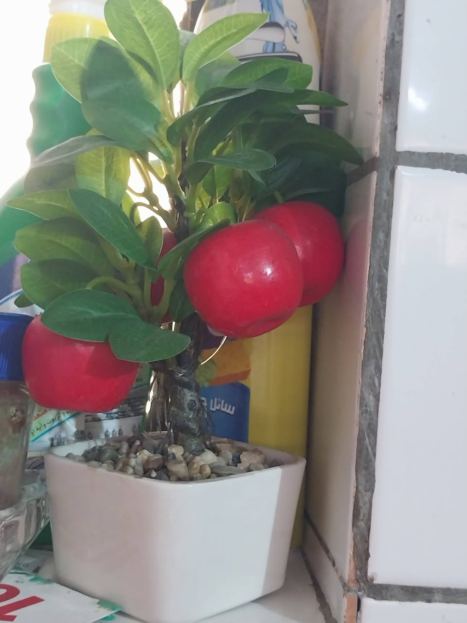الطباخ ب١٠٠
كل الزرع ب١٠٠


**إذا كنت صاحب هذا الإعلان وتريد حذفه لأي سبب، رجاءا أرسل رسالة إلى الدعم الفني**