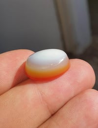 يمانية • أصيلة • معدلة بالجراخة