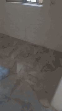 اعمال سيراميك ***********ابو عباس
