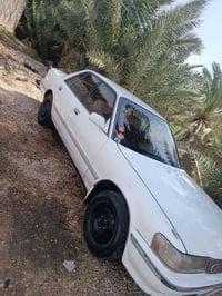 كريسيدا • ١٩٨٩ • نجف مشخاب