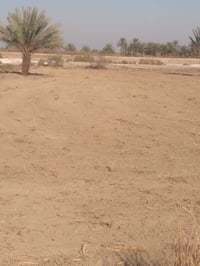 خلف العوفي • ٣ دونم ٣٠٠م • طابو زراعي