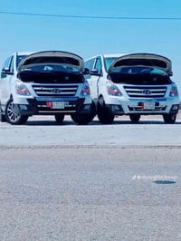 خط ستاركس • طالبات مرحلة أولى • لنصر-جامعة العين/الوطنية