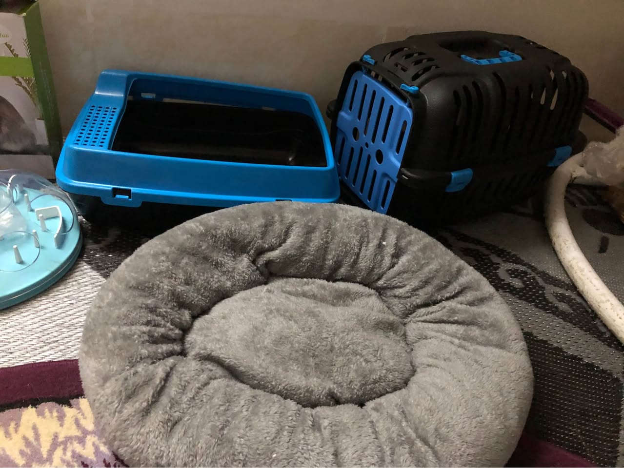 اشياء قطط جديدة  35 الف قفل
المكان اربيل روشنبيري أربيل, العراق


**إذا كنت صاحب هذا الإعلان وتريد حذفه لأي سبب، رجاءا أرسل رسالة إلى الدعم الفني**