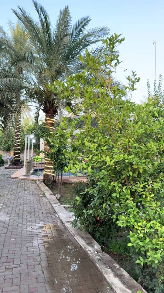 السلام عليكم👋للبيع(مزرعة)طابو زراعي نموذج السند(25)تحويل مباشر بأسم المشتري ليس إقرار محكمة المساحة(1دونم/2500m)واجهية المزرعة(70m)والنزال(35m) في بغداد(الراشدية/مقابل مزرعة عدنان خير الله)تحتوي المزرعة على(دار أستراحة مكون من/غرفه منام/صاله/غرفه ضيوف/مطبخ/صحيات/وتحتوي على مسبح/للصغار/وللكبار/باربكيو/حدايق/محمية حيوانات/بارك يسع3سيارات/باقي تفاصيل المزرعة في الفيديو) للأستفسار اكثر *********** #viralvideo #جزيرة_بغداد_السياحية #tiktok #foryoupage #fyp 
