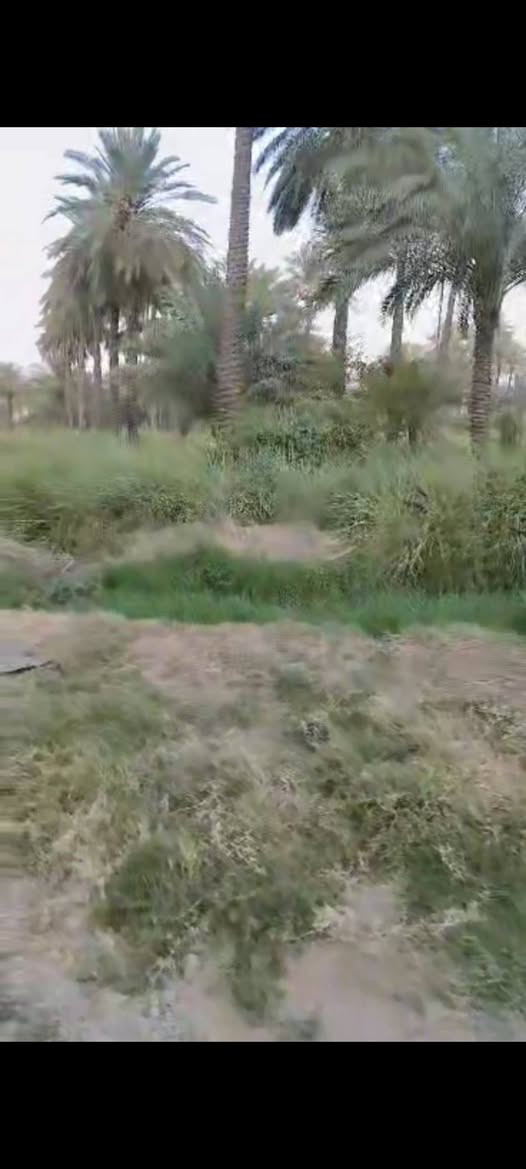 ملك 25
العنوان المدائن
مقابل الفرقة الاتحادية
ثالث دونم عن الشارع العام
الواجهه 51 ونصف النزال 24 ونصف
الخدمات
ماء اسالة+كهرباء+ماء سقي
للاستفسار عن السعر الاتصال على الرقم *********** بغداد, العراق
