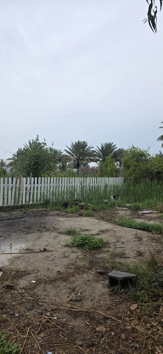 سلام عليكم ارض للبيع المساحة دونم ملك صرف المدائن منطقة التويثة خدمات كاملة ماء أسألة قرب شارع سيد علي للستفسار اكثر اتصل ***********
