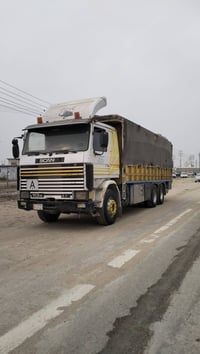 بيضة مكينة ١١٣ • برتقالية مكينة ١٤٣ • كير ٣/٣