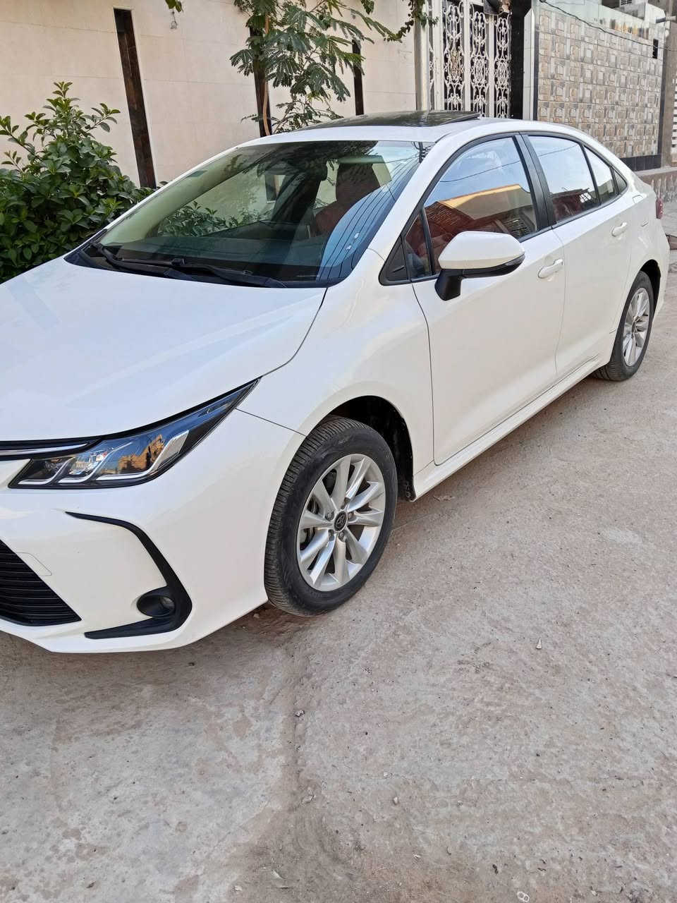 السلام عليكم للبيع كورلا موديل 2023 شكل الخليجي تجميع صيني ماشية 133 الف السيارة كفالة على وضع الشركة بانزين فقط يعني مو هايبرد محرك 1200 تيربو 
مكانه نجف *********** السعر 140 وبيه مجال
