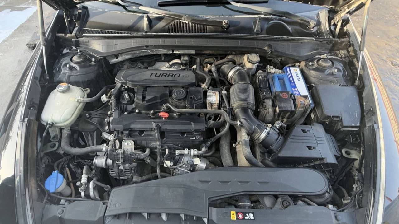 سوناتا 2020 محرك 1.6 توربو 🔥
🔹 الضربة بلادية جنطة
🔹 بارد جاملغ أمامي قطعتين
🔹 فول مواصفات ما عدا الفتحة
🔹 كشنات جلد ومخمل مع تدفئة
🔹 تحديد مسار + نقطة عمياء
🔹 رادار أمامي وخلفي
🔹 لايت زينون عدسة
🔹 تبريد قطعتين
🔹 3 أنظمة قيادة
🔹 توقف ذاتي
🔹اوتو هولد 
🔹تشغيل عن بعد 
🔹 كشنات كهرباء

سيارة مرتبة، استخدام نظيف
موقعها بغداد
السعر: 165 وبي مجال قليل
📞 للاتصال: ***********
