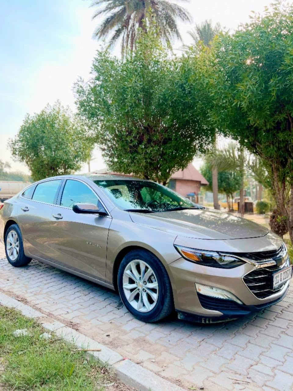 السلام عليكم
للبيع سيارة: شوفرليت ماليبو (LT) لون ذهبي
 
•الرقم: معوقين  بغداد ترقيم جديد 

•المواصفات :

▪️السيارة: شوفرليت ماليبو LT 
▪️الموديل: 2024
▪️المحرك: 1.5 تربو (اربعة سلندر)
▪️العداد: 18الف ميل حقيقي
▪️حجم الويل: ويل كب حجم 17 مع طقم تايرات بحالة ممتازة
▪️لايتات اصفر مع كشافات دعامية LED
▪️بصمات عدد 2 للأبواب مع بصمة جنطة وبصمة تشغيل 
▪️كامرة خلفية دوارة اصل مع الستيرن
▪️شاشة الدشبول حجم كبير (ايباد)
▪️غرفة السيارة : كشنات السيارة مخمل أسود 
▪️تحكم فول كهرباء لكرسي السائق
▪️قطعتين تبريد امامي وخلفي
▪️تحكم ستيرن جهتين بلوتوث وحاكية وكروس سرعة وتحكم صوت 
▪️نظام ABS مانع انزلاق

 🔴 صور الحادث مرفقة داخل المنشور

السعر المطلوب : 119 ورقة
مكاني بغداد الكرخ

 اتصال ع الرقم : 
***********
