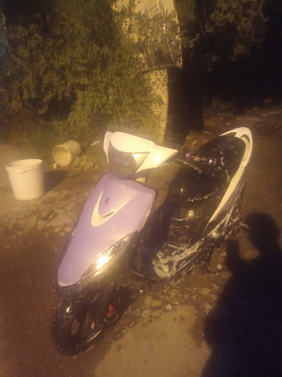تم تنزيل السعر قفلها 800 مستعجل على بيعتها الدراجه ما مفتوحه صارلها 3 اشهر من نزلتها حيل حلوه وكلها ختم واحد الشراي يراسلني خاص او يتصل مكاني الرميثه حي العسكري ***********7766737572
تم  السعر  800 مستعجل على بيعتها الدراجه ما مفتوحه   توني مشتريها خرسه الدراجه حيل حلوه وكلها ختم واحد وكلها بلاديه حته لونها الشراي يراسلني خاص او يتصل مكاني الرميثه حي العسكري ***********
