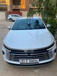 بي واي دي • ٢٠٢٥ • ضربة خلفية