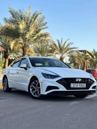 سوناتا ٢٠٢٣ • وارد أمريكي • حادث بسيط