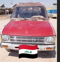 نينوى • أصفر • حك الجير