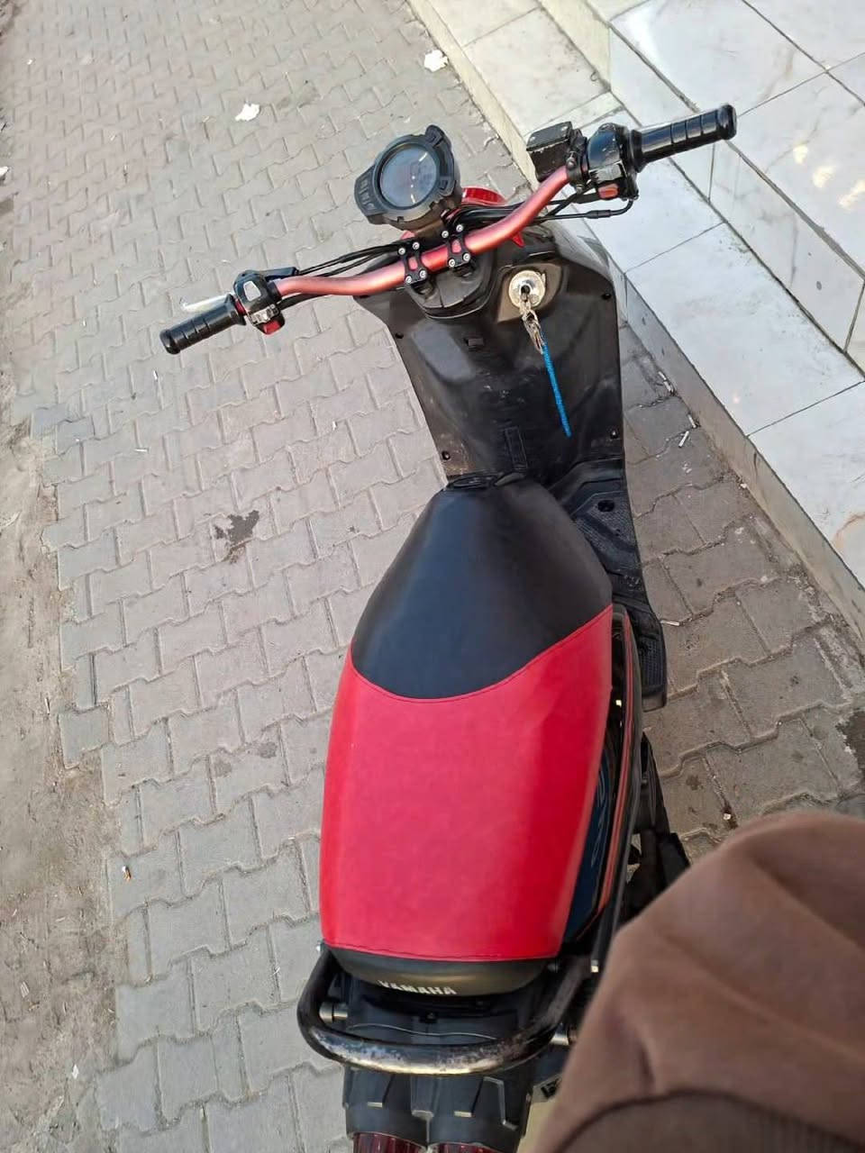 سكنس جبلي للبيع 
السعر مليون قفل
مكاني بغداد مدينه الصدر 
*********** واتساب فقط
