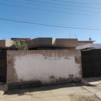 برطلة النسيم • ٣٠٠م • كراجين