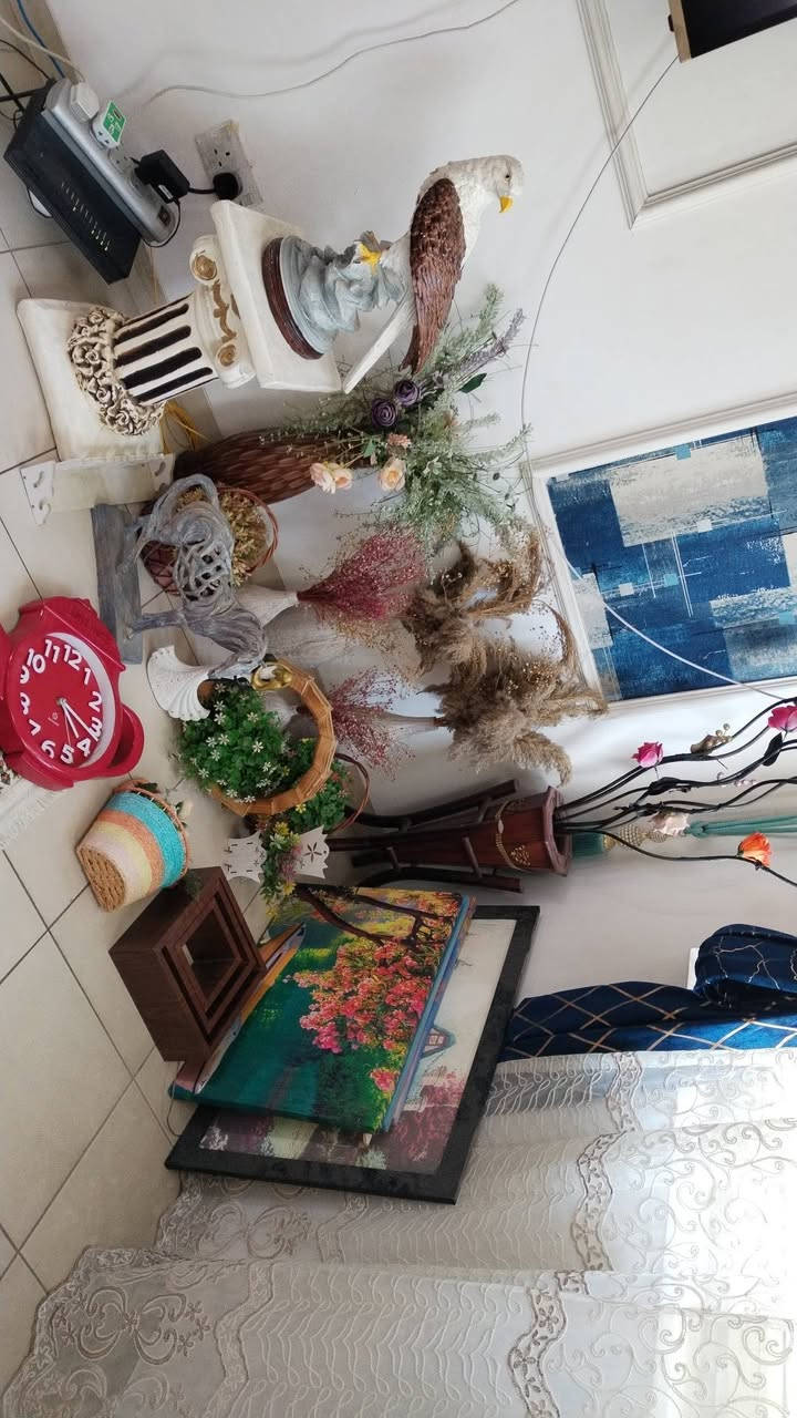 تحفيات وسنادين ولوحات عدد 4 للبيع


**إذا كنت صاحب هذا الإعلان وتريد حذفه لأي سبب، رجاءا أرسل رسالة إلى الدعم الفني**