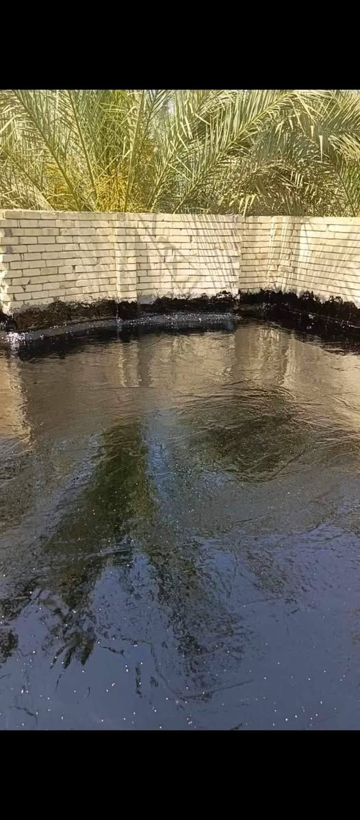 تعلن سكلة  المنكوشي لبيع الجير في كربلاء في اسعار مناسبه الاستفسار الارقام الهاتفيه ***********/👉🏢🏨
