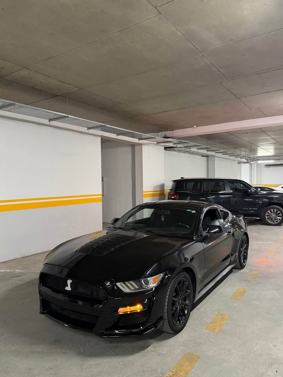 السلام عليكم
🚘موستنك ٢٠١٦ ايكو بوست بريمويم رقم اربيل 
مواصفات بصمة كشن جلد تدفيئة تبريد 
داخل ٧ الوان دوسة ليد 
جاملغين امامى كلير بنيت صبغ باب واحد كلير 
بنيت دعامية مبدل شيلى حتا ويل 
تايرات ويل جديد حدادية جديد 
ماشية ٩٠ رقم سنوى هزة جديد بسمى تحويل ثانى يوم 
كير محرك كهربائى مابى شى سعر 105 ورقة مجال 
مكان سيارة اربيل ***********واتساب أربيل, العراق
