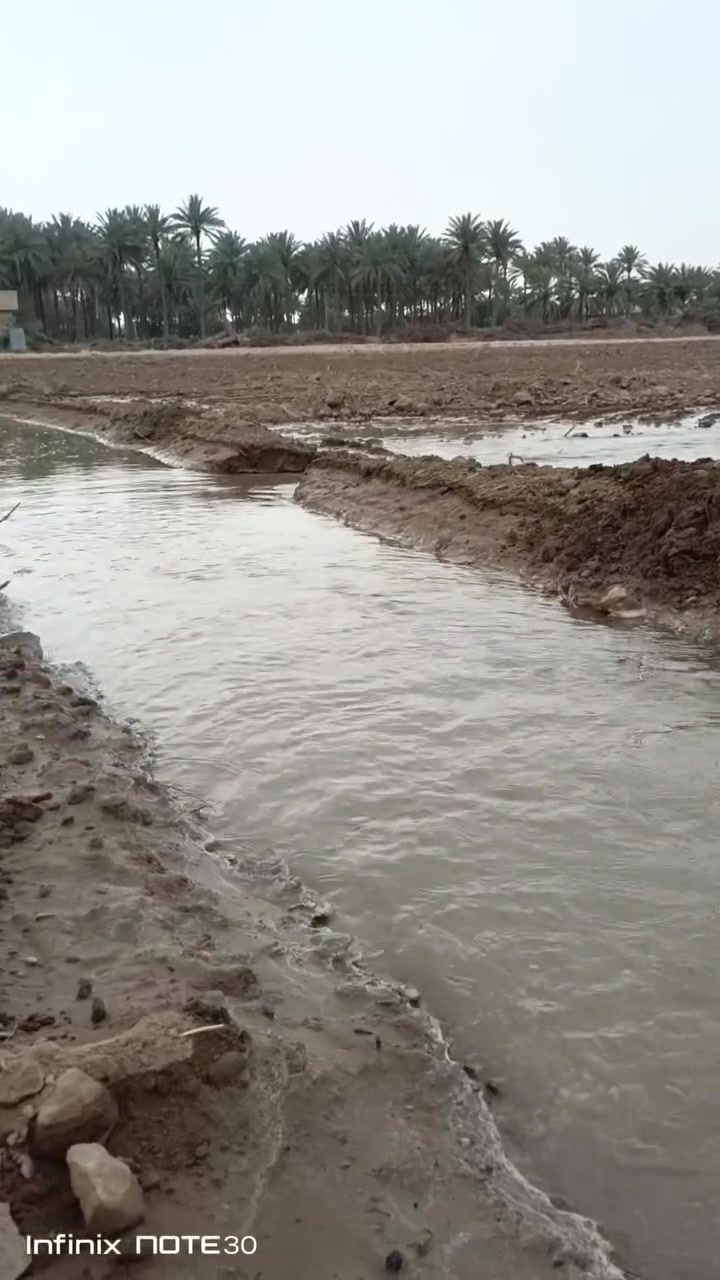 سلام عليكم
متاح دونم طابو زراعي سند 25 تحويل ثاني يوم 
جميع الخدمات متوفره وتبعد عن السريع 10 دقايق 
موقعها بل صكلاويه منطقه الزغاريت 
*********** ابو ريان 
*********** ابو ريان

