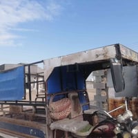 ستوته • اوراق كاملة • كمرك مدفوع