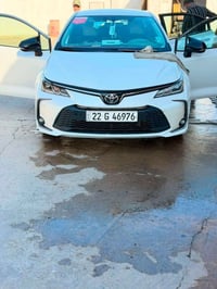 كورولا ٢٠٢٣ • رقم اربيل • بدون صبغ