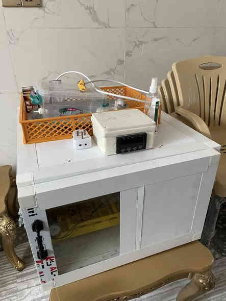 سلام عليكم فقاسه حجم ٩٩ بيضه للبيع الفقاسه جديده جدا فقست بيها مرتين فقط وتفقيسها خير من الله شغل ليث المهندس السعر ١٨٥ وبيها مجال إنشاءالله مكاني كربلاء الحسينيه***********
