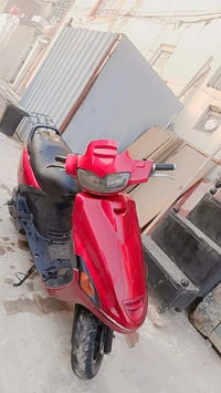 فراشة للبيع فحل شغاله كامله 300وبيه مجال 07832934895