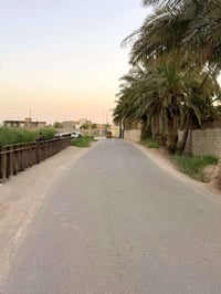 قطعة أرض للبيع • أرض ركن • أرض ذاك الصوب • أرض حي العلماء • أرض على ال...