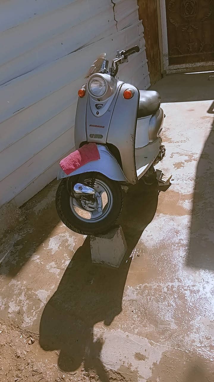 ٢٠٠


**إذا كنت صاحب هذا الإعلان وتريد حذفه لأي سبب، رجاءا أرسل رسالة إلى الدعم الفني**