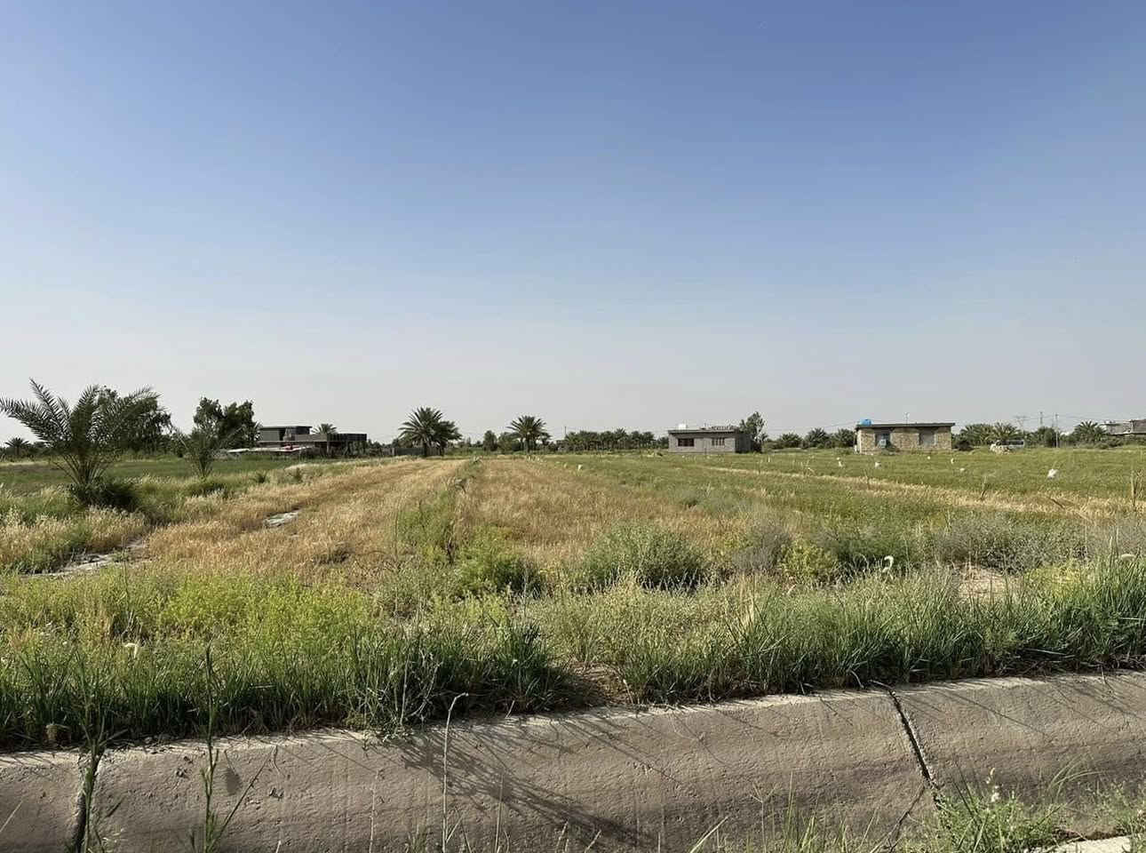 للبيع – أرض زراعية قابلة للتحويل سكني او مزرعه او شاليه / العنوان التاجي
2 دونم طابو زراعي سند 25
فتح بيان + تحويل بالطابو
كهرباء + ماء + خدمات كاملة
شارع 10م
📍 بغداد – التاجي قرب ذراع دجلة

💰 السعر: 50 مليون للدونم
(يوجد ب60 مليون)
وعندي على 25 مليون للدونم الواحد 
📞 ***********
