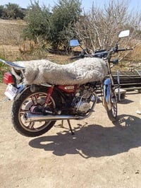 دراجه سونك موديل 22سعره 550واذه اكو مراوس باربعه كير ماكو مشكله او خمس...