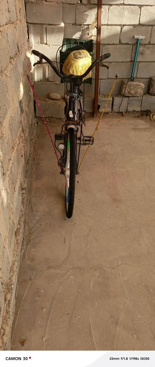 باسكل البيع ياباني حجم 26السعر 55وبي مجال


**إذا كنت صاحب هذا الإعلان وتريد حذفه لأي سبب، رجاءا أرسل رسالة إلى الدعم الفني**