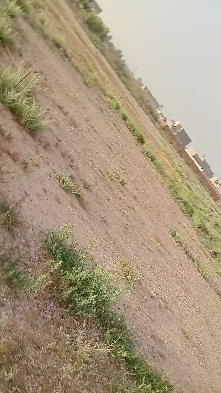 الاتصال على ***********
