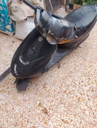 ذبانه • نظيفه • بدون عقل