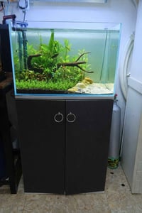 حوض سمك • 60×40×40 • ناصرية