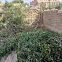 الريد حطب خلي يجي وياخض 07867938500