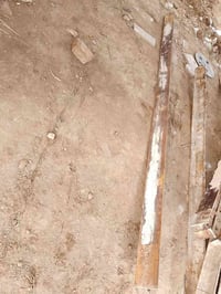 شيلمان • عدد ٧ • قضاء الشاميه