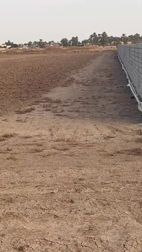 السلام عليكم 4دونم سند25تحويل مباشركماموضح بالفيدو سعر الدونم 75وبيهه مجال ‏‏‪***********‬‏وتساب متوفر
