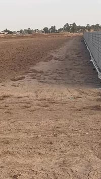 4دونم سند25تحويل مباشركماموضح بالفيدو سعر الدونم 75وبيهه مجال ‏‏‪07882...