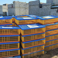 اقفاص دجاج • كربلاء السواد • سعر خاص