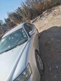 سوناته • ٢٠١٢ • كربلا