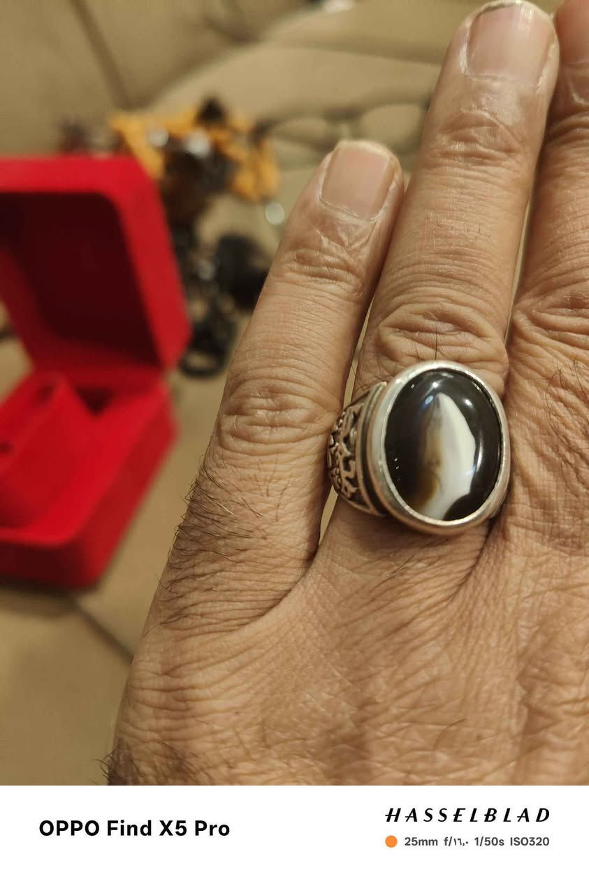 بغداد بغداد, العراق


**إذا كنت صاحب هذا الإعلان وتريد حذفه لأي سبب، رجاءا أرسل رسالة إلى الدعم الفني**