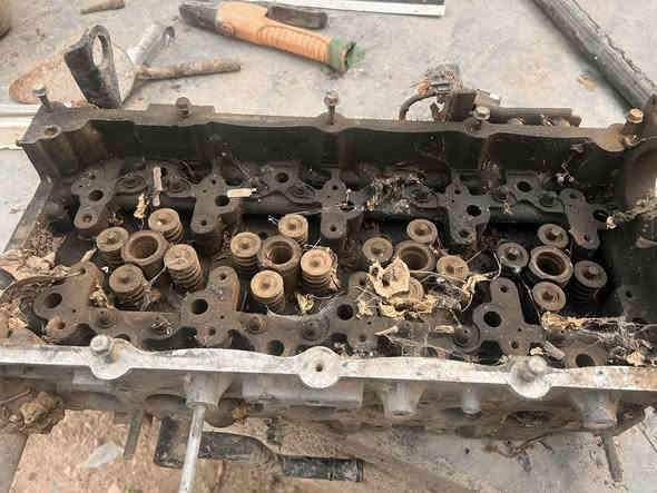 السلام عليكم موجودغراض استاركس                        1:بكلايت صفحت اليمين  ب ٣٥ بي فطر خفيف كما موضح بل صورة                             2:ويل مال 2017دبلو. ب ١٠٠ حيل نضيف                                                         3:حاضن ب٣٠                                                                                         4:كور مال دبلو نضيف  هـ:***********
