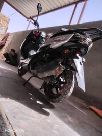 سكنس فحل • مامفتوح • موديل٢٣