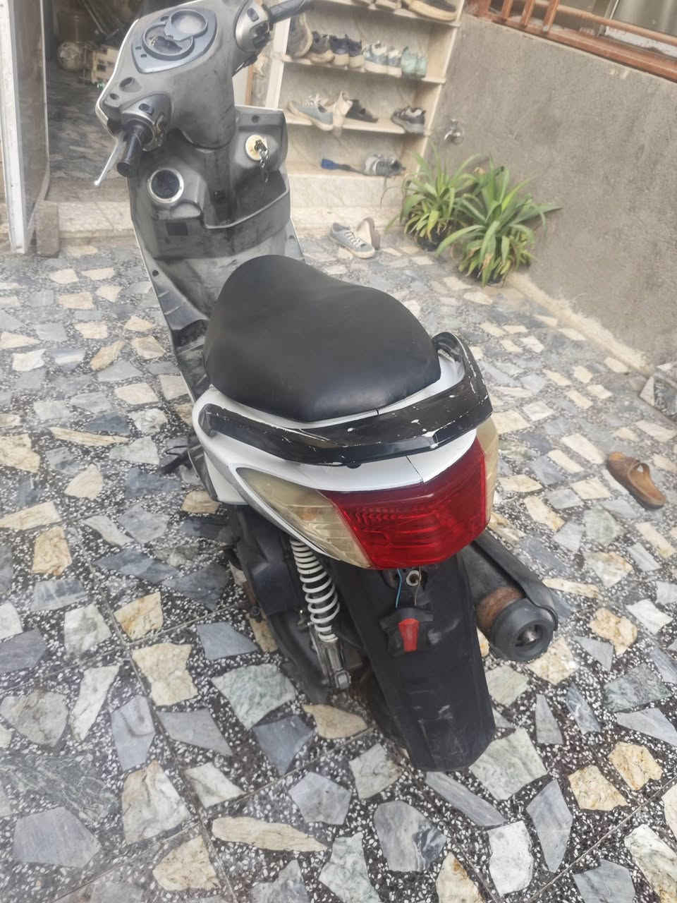 السلام عليكم سكنس فحل كابريتر للبيع أو مراوس حسب القناعةمكينة خرسة لاتنقيص لاتبخير لا نضوح نكرة بكل وقت نقص فقط دشبول  باقي كلة شغال  السعر 600وبيهة مجال مكاني بغداد مدينة الصدر  رقمي ***********
