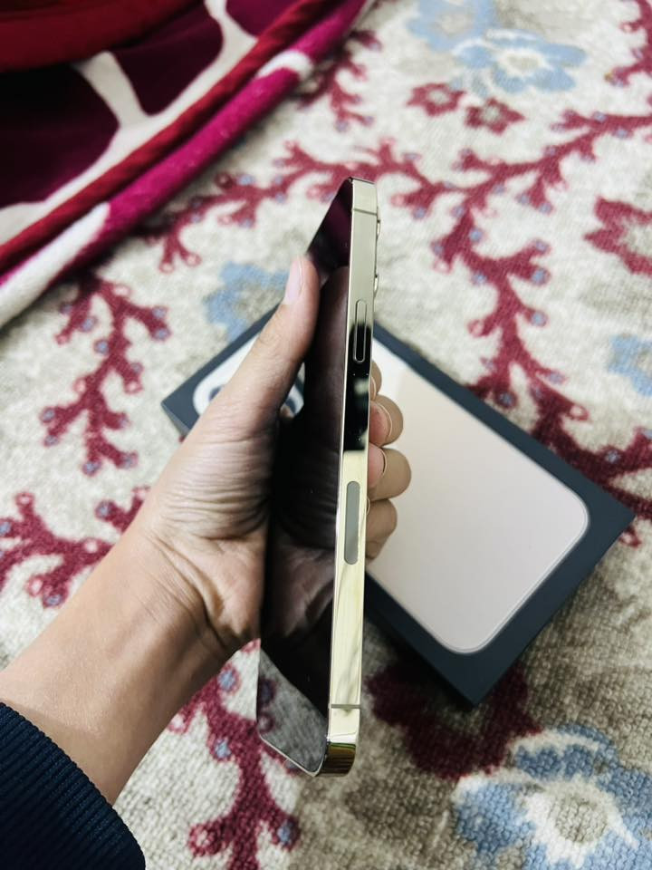 سلام عليكم أيفون 13برو ماكس باللون المميز الذهبي جدا مميز
‏بالذاكرة العملاقة المميزة 512 بطارية 91 بلادي غير محفزه
‏الجهاز كله بلادي شرط الفحص وين ما يعجبك نظافة 100% 100 شخط واحد ما أبي جديد بمعنى الكلمة المكان الناصرية المركز شراي يجي خاص ***********￼
